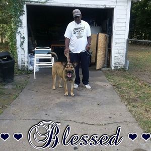 Meet your Posher, Donald